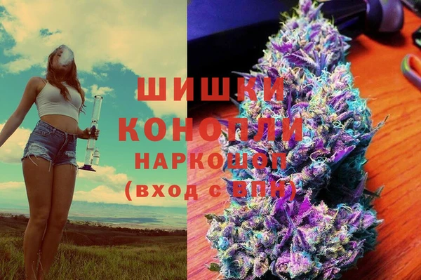 тгк Алексин