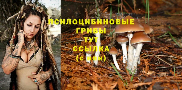 амф Абаза