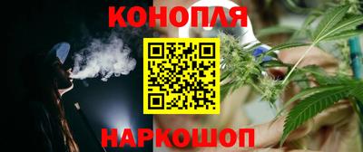 гидра Анжеро-Судженск